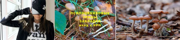МДПВ Волосово