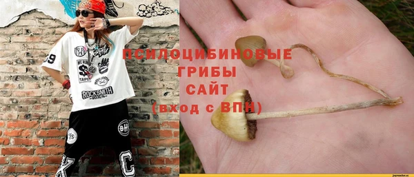 МДПВ Волосово